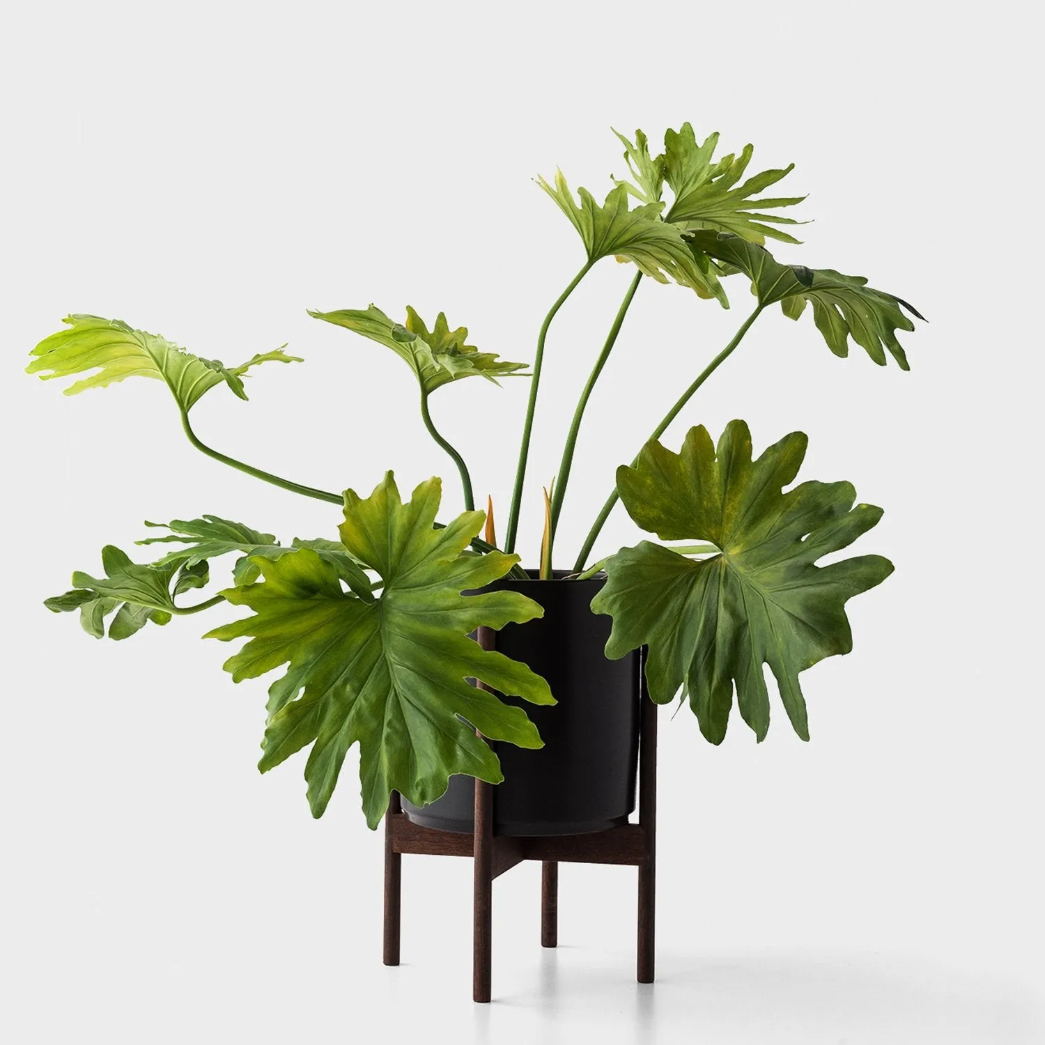 10" Cylinder Planter   Stand