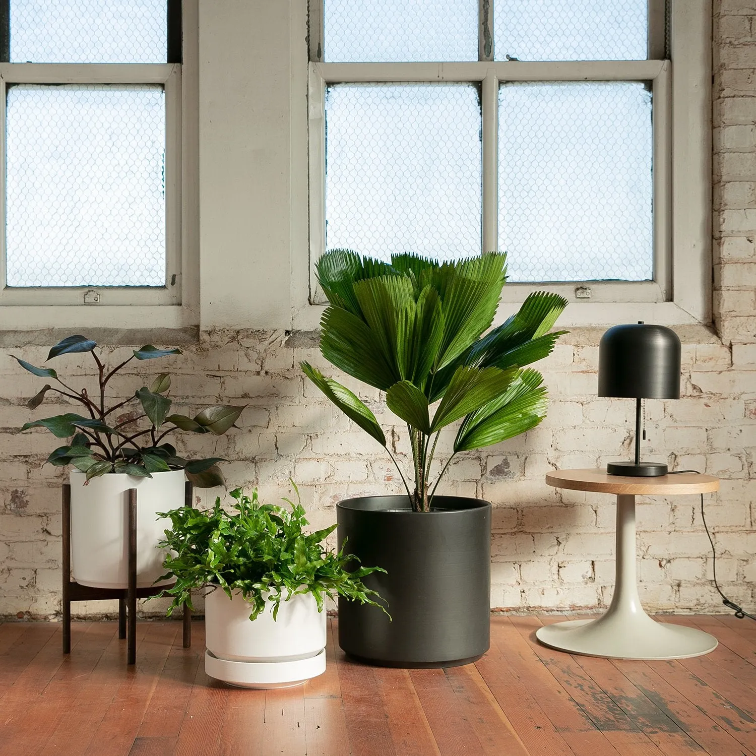10" Cylinder Planter   Stand