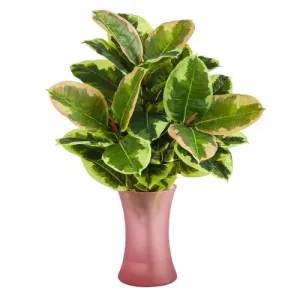 19" Rubber Leaf Artificial Plant in Rose Planter (Real Touch)
