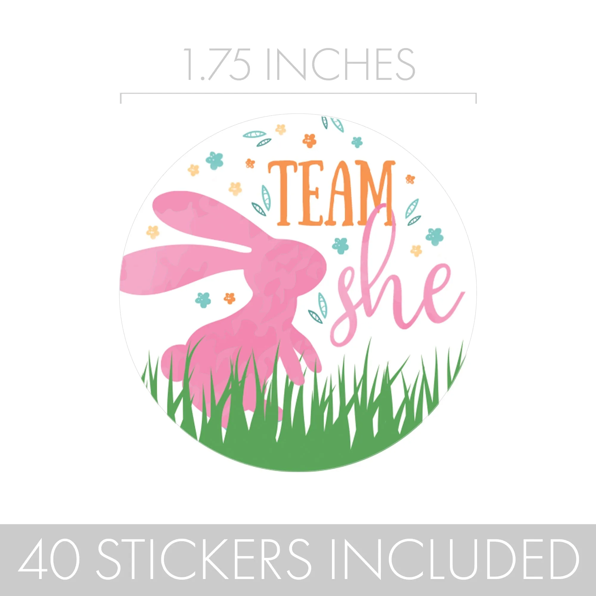 Easter Gender Reveal Party: Little Bunny -Team He or Team She Voting Stickers - 40 Stickers