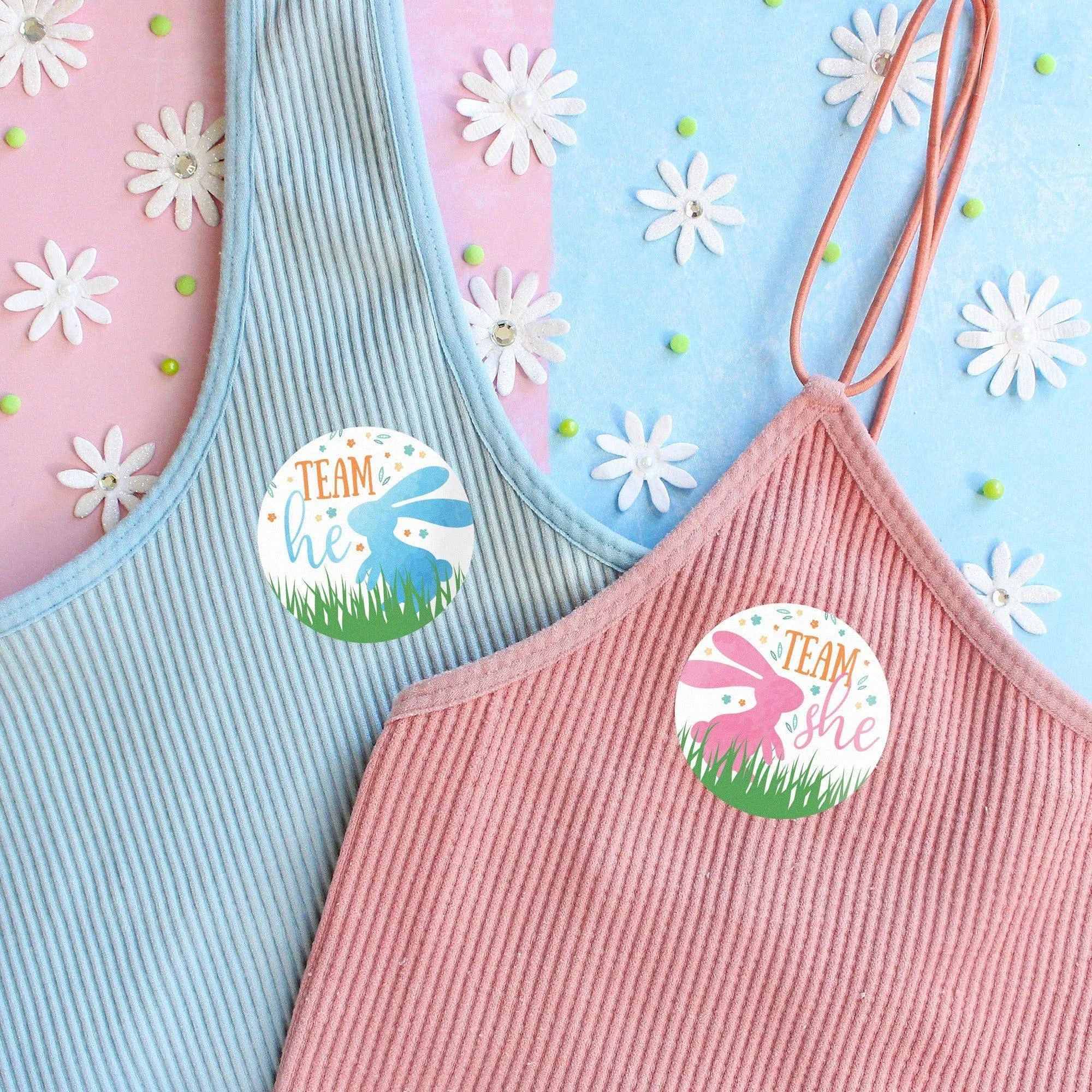 Easter Gender Reveal Party: Little Bunny -Team He or Team She Voting Stickers - 40 Stickers